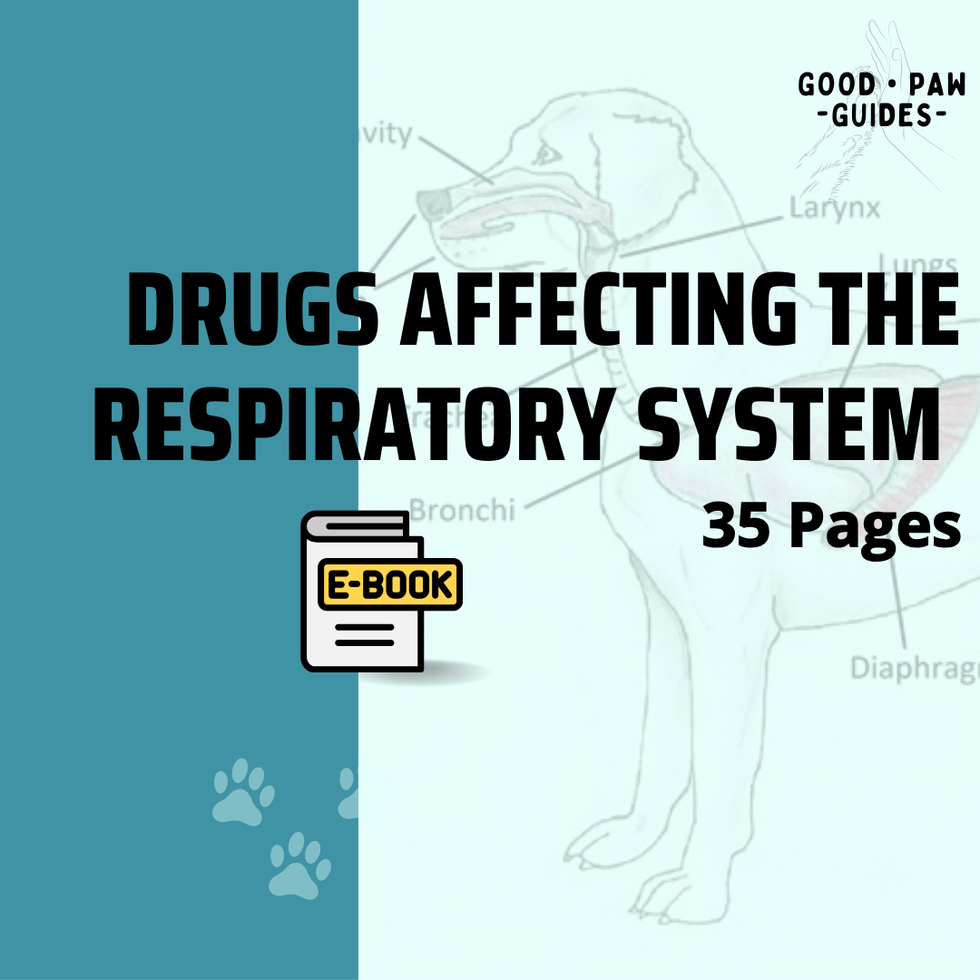 Essential Guide to Respiratory System Drugs for Veterinary Care | 35 Pages