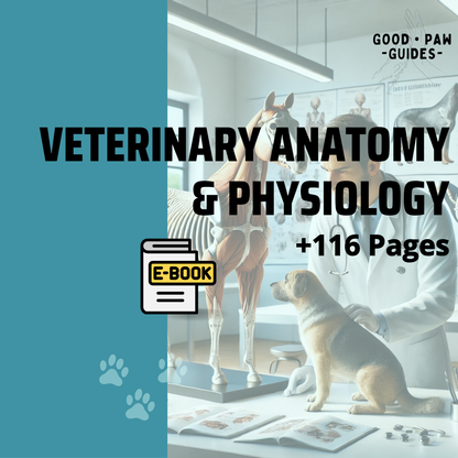 Ultimate Veterinary Anatomy & Physiology Guide | +115 Pages